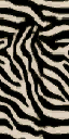 zebra_skin - Carter_block.txd