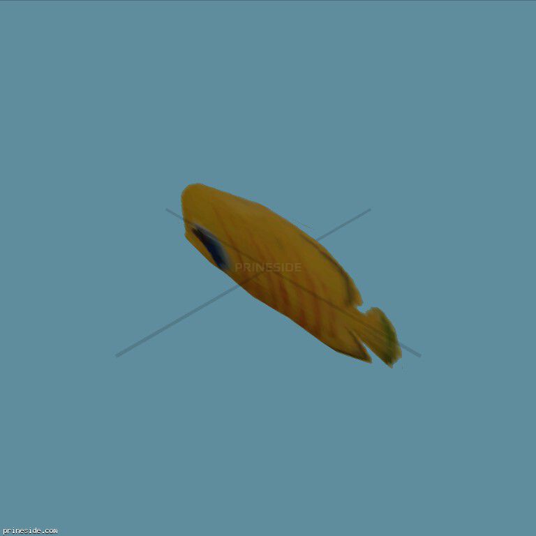Yellow flat fish (fish1single) [1599] on the dark background