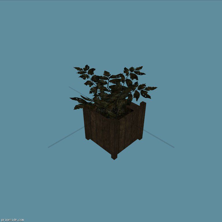 Plant_Pot_9 [2244] on the dark background