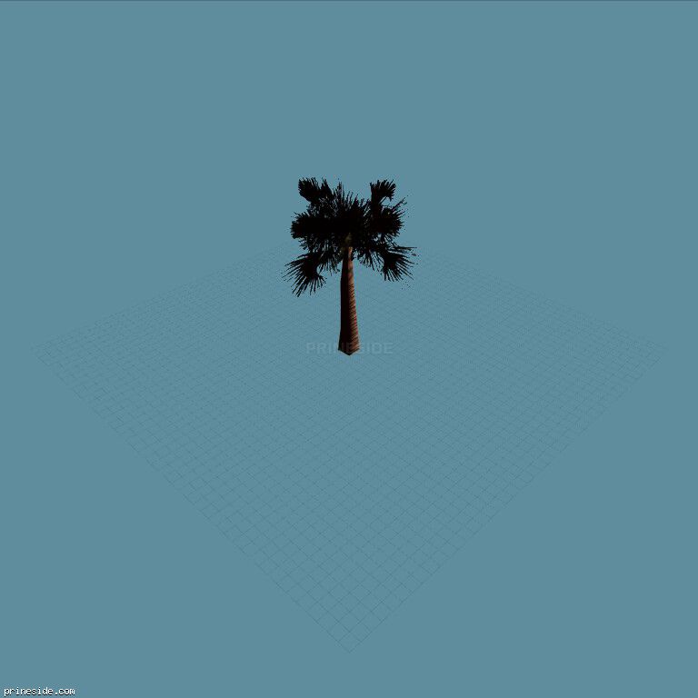 Большая прямая пальма (veg_palmbig14) [645] на темном фоне