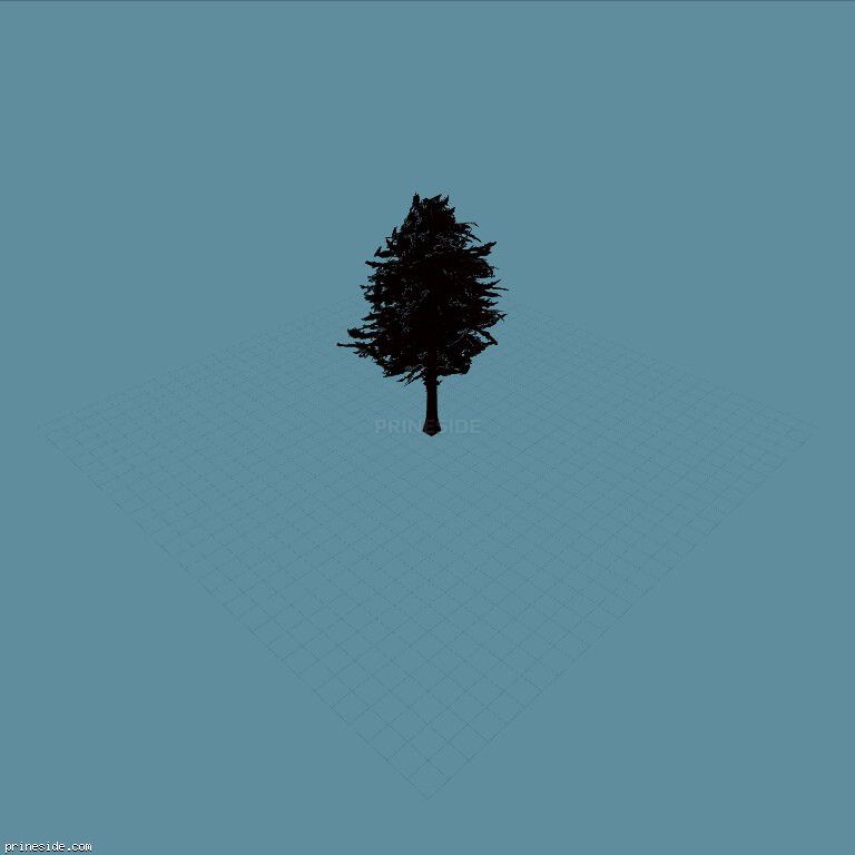 Coniferous tree (pinetree06) [655] on the dark background