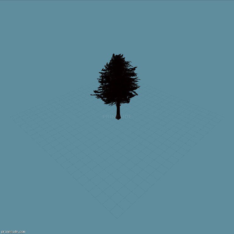 Густая невысокая сосна (pinetree02) [657] на темном фоне
