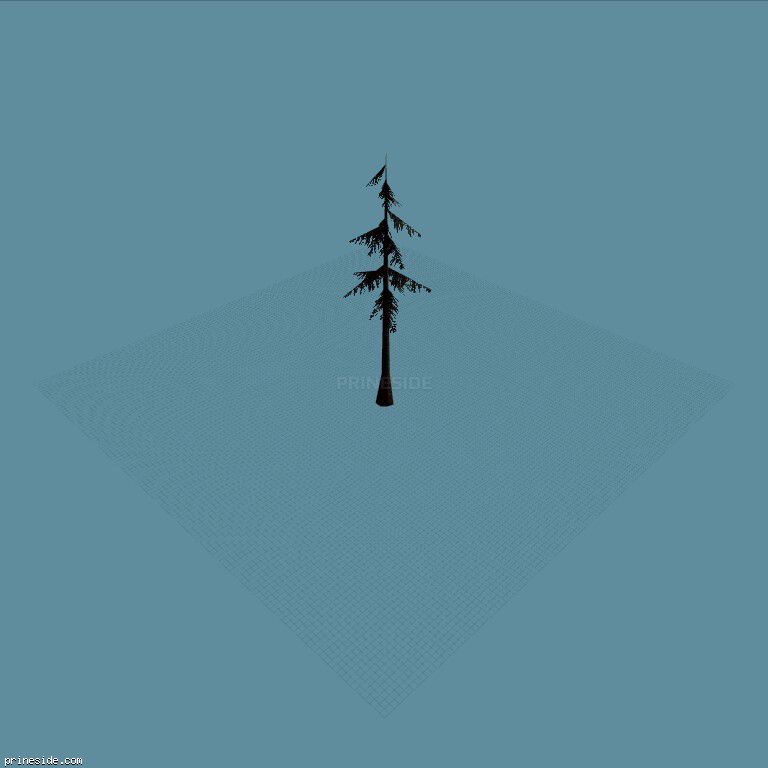 Coniferous tree (sm_fir_scabt) [696] on the dark background