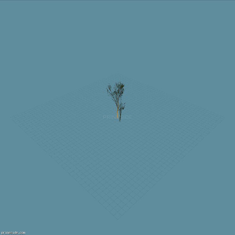 Tree (Elmsparse_hism) [780] on the dark background