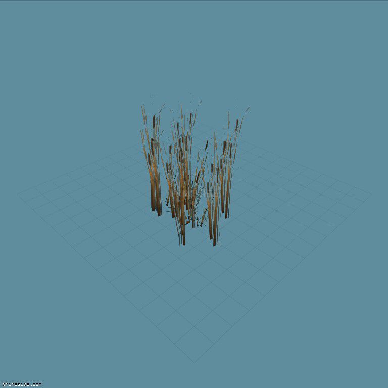 The reeds (genVEG_tallgrass01) [855] on the dark background