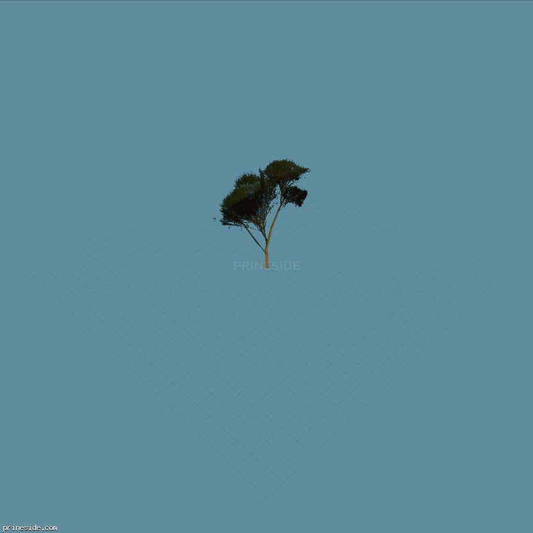 Маленькое дерево (Elmtreegrn_PO) [886] на темном фоне