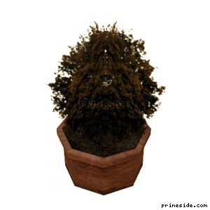 A small Bush in a pot (Plant_Pot_3_sv) [15038] on the light background
