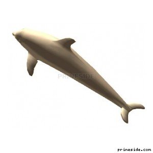 dolphin [1607] on the light background