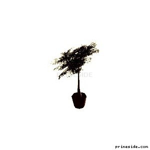 A pot with a tree (veg_palmkb1) [625] on the light background