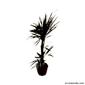 A small tree in a pot (veg_palmkb8) [630] on the light background
