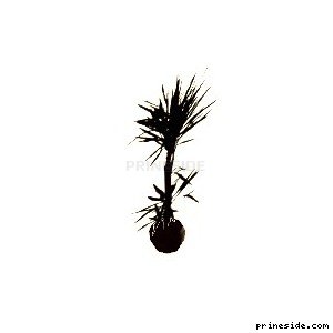 Небольшое растение в горшке (pot_02) [644] на светлом фоне