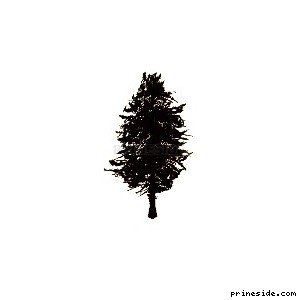 pinetree08 [654] на светлом фоне