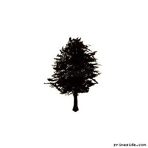 pinetree05 [656] на светлом фоне