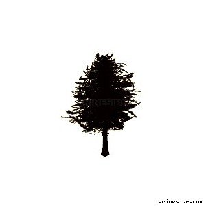 Густая невысокая сосна (pinetree02) [657] на светлом фоне
