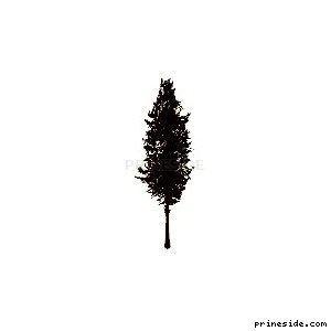 pinetree01 [659] на светлом фоне