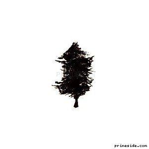 pinetree07 [661] на светлом фоне