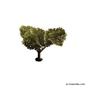 Большое дерево (veg_bevtree2) [714] на светлом фоне