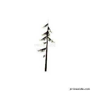 Высокое хвойное дерево (veg_largefurs04) [723] на светлом фоне