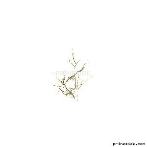 A small dry Bush (genVEG_bush19) [815] on the light background