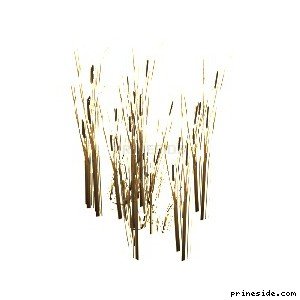 The reeds (genVEG_tallgrass01) [855] on the light background