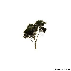 Маленькое дерево (Elmtreegrn_PO) [886] на светлом фоне